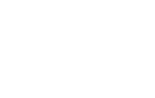 Karbon Excellence Award